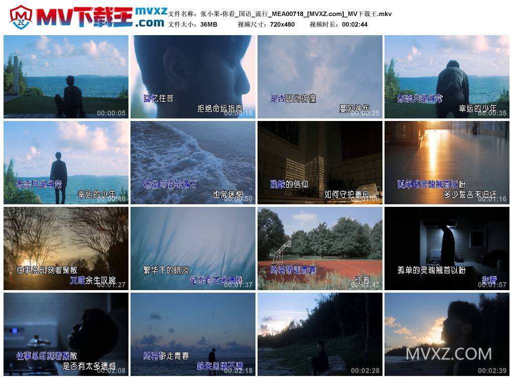 张小果-你看_国语_流行_MEA00718